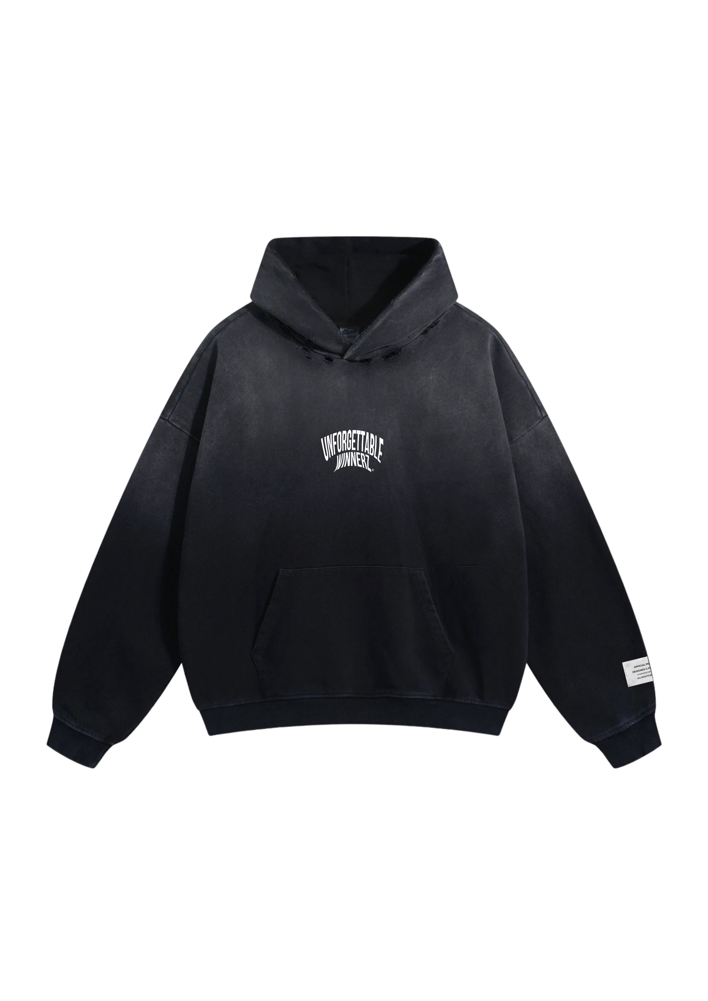 Official Logo Hoodie